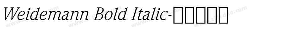 Weidemann Bold Italic字体转换
